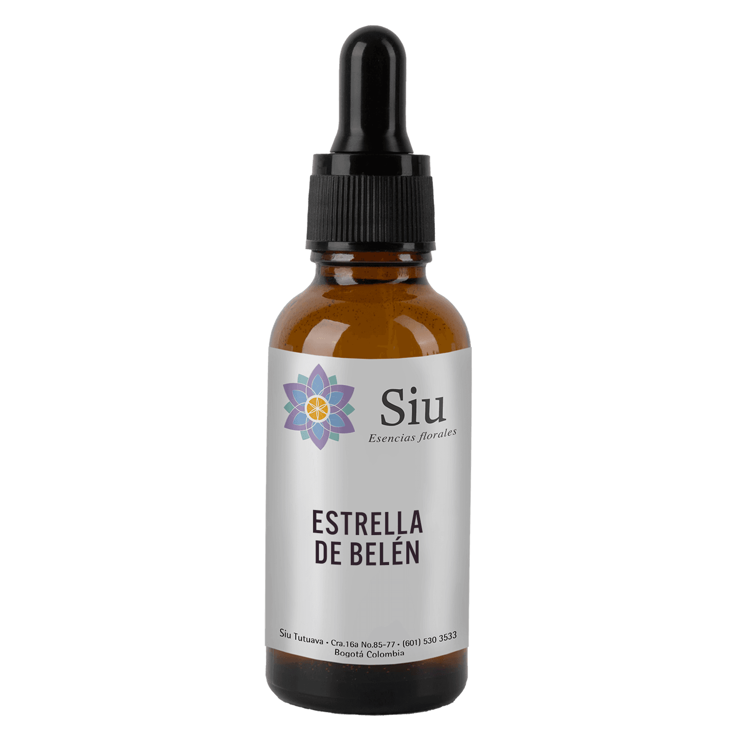 Estrella de Belén