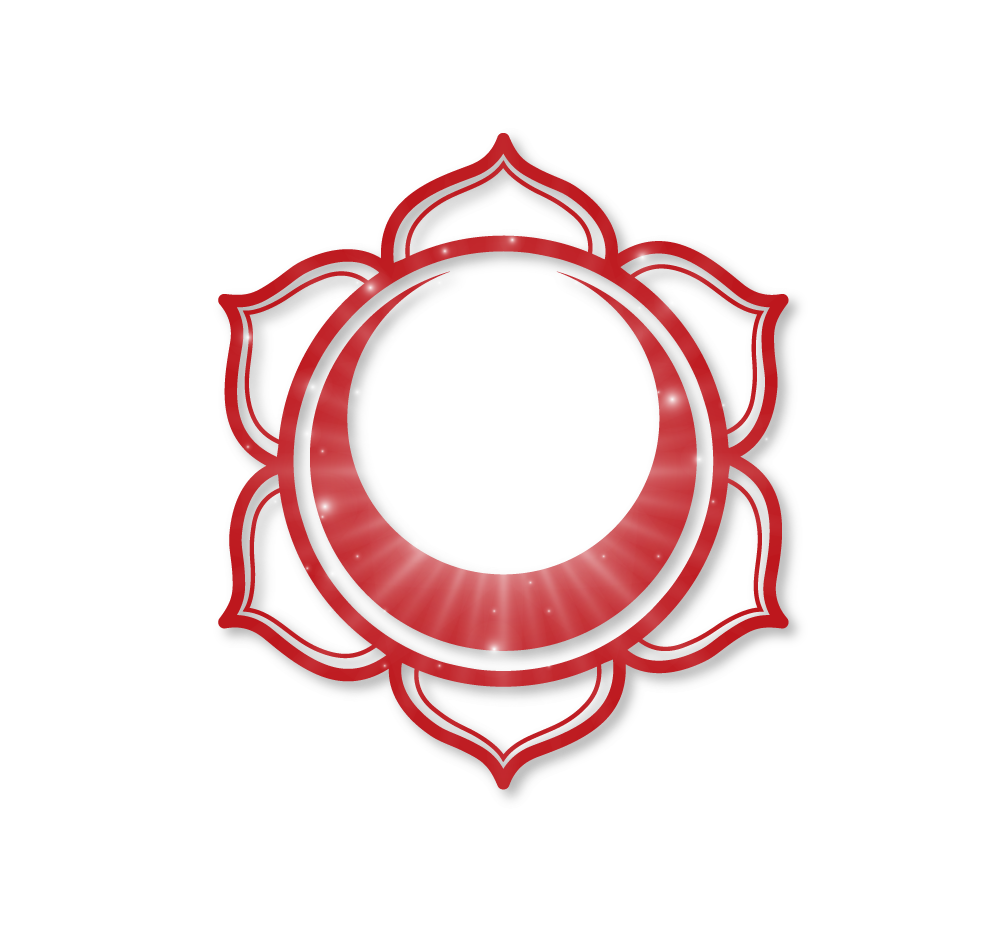 icono4